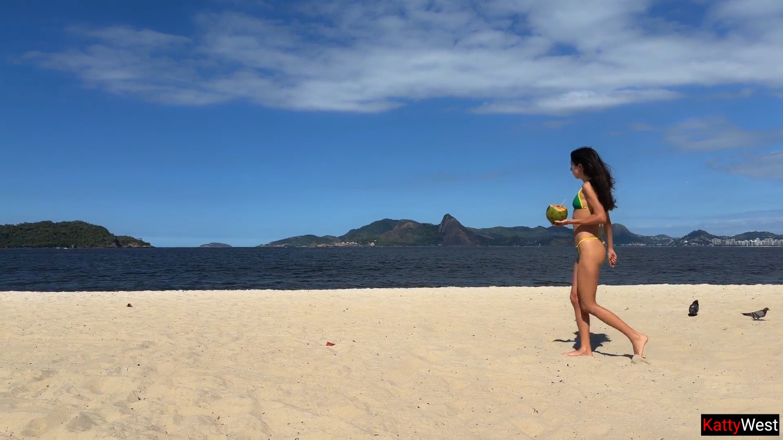 Rio Vacation Sex with Hot Brazilian Babe – Cum Swallow